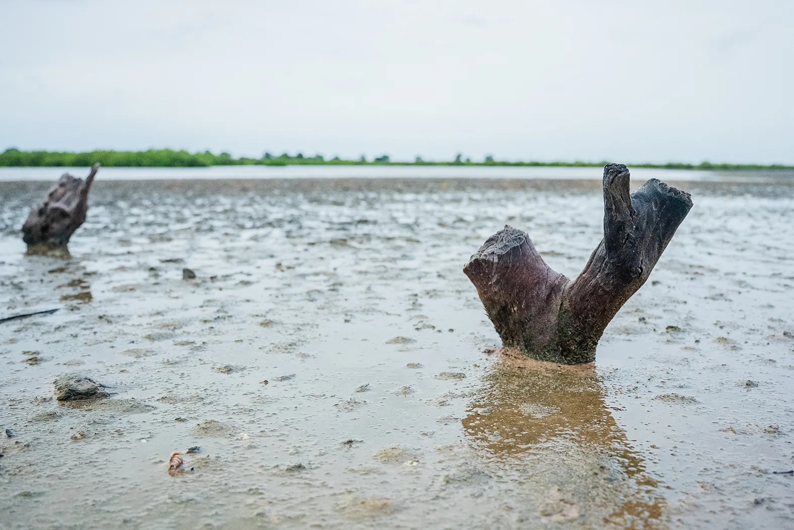 Photo: dakar92.com Laga Ndong sanctuary preserves ancient Serer traditions in Foundiougne